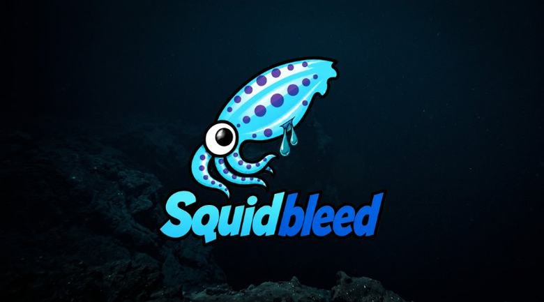 Squidbleed : une faille vieille de 29 ans fait fuiter les identifiants des utilisateurs du proxy Squid